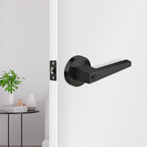 ROTTERDAM PREMIUM RESIDENTIAL TUBULAR LEVER SET MOD. 9908