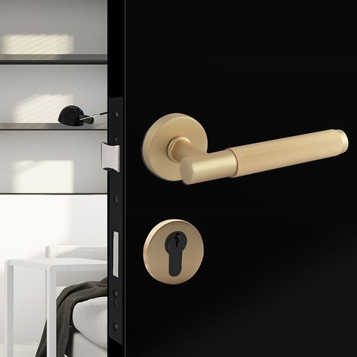 [TUR.MAN.6003LM] PRAGA TÜRGRIFFE DOOR LOCK MATTE BRASS TUR.MAN.6003LM