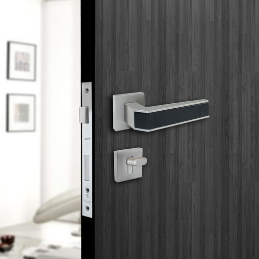RHEIN TÜRGRIFFE DOOR LOCK GJ98
